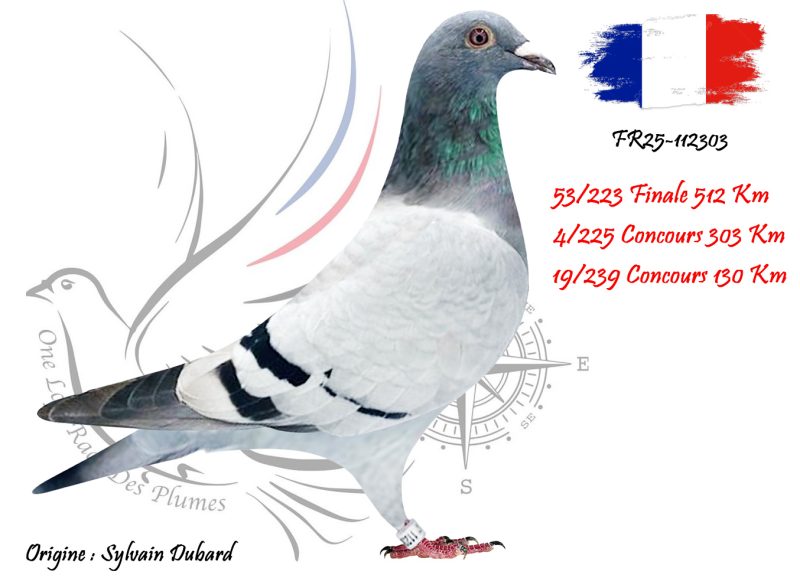 N° 53 : FR25-112303