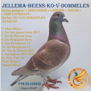 133542
