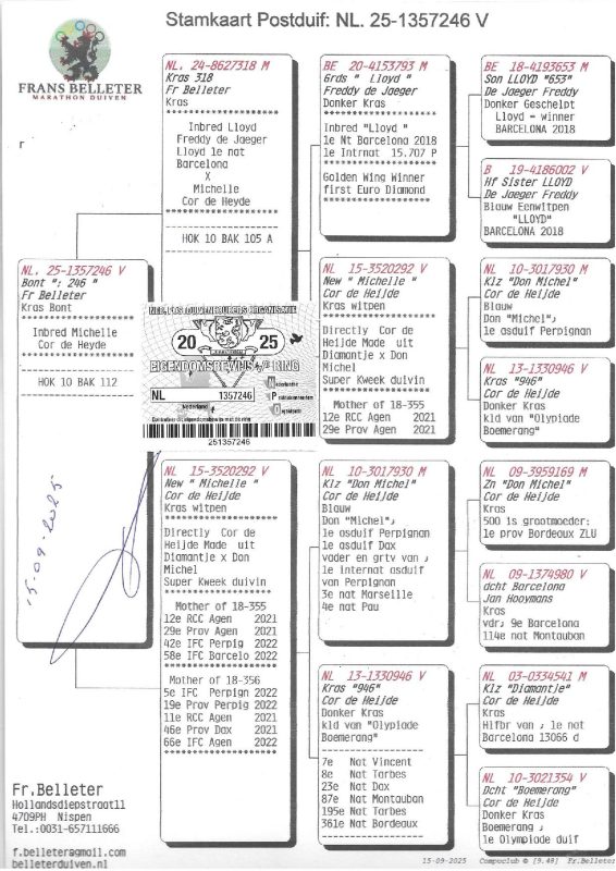 1357246 25 ped