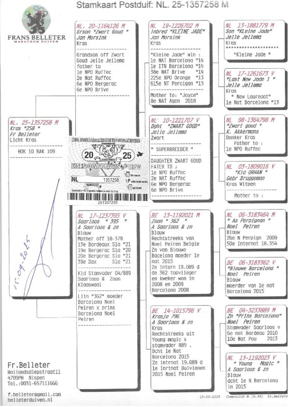 1357258 25 ped