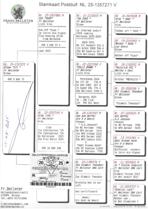 1357271 25 ped