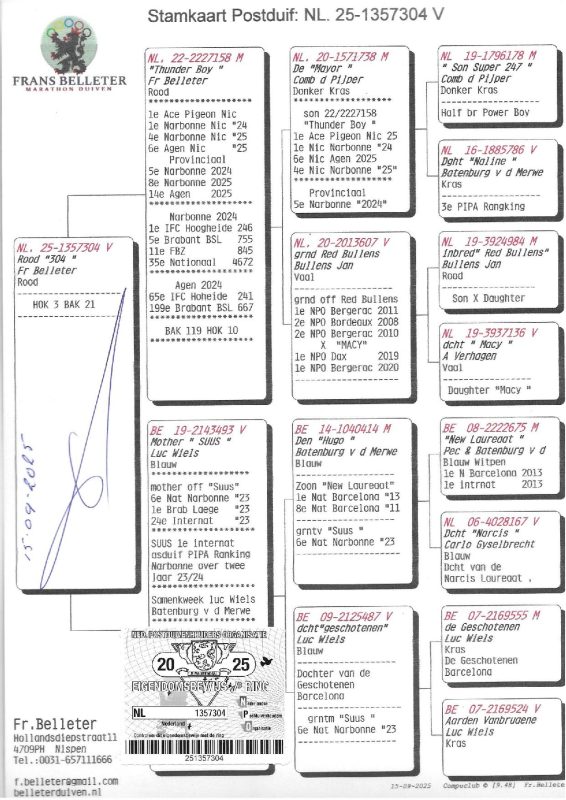 1357304 25 ped