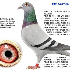17884