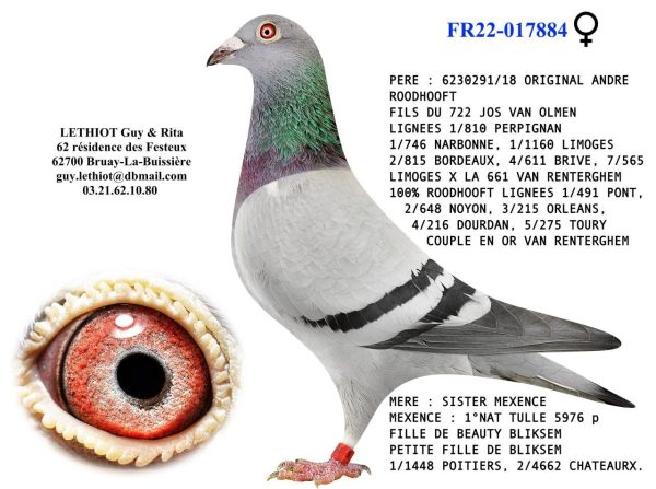17884