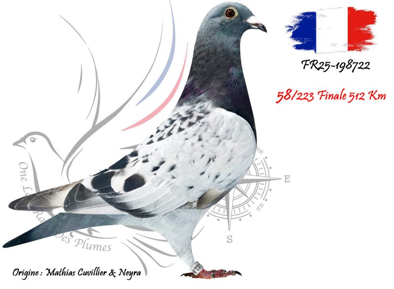 N° 58 : FR25-198722