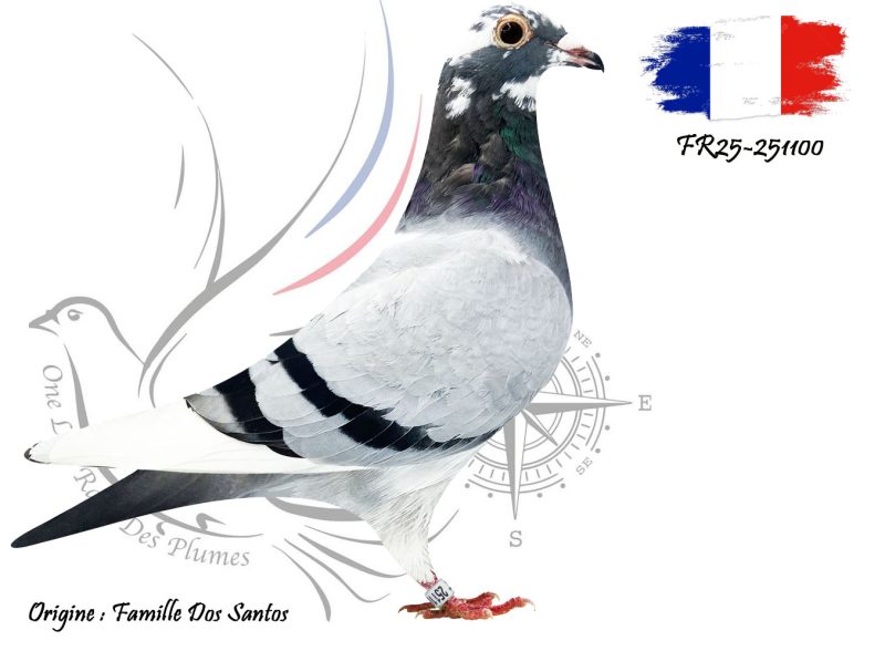 N° 108 : FR25-251100