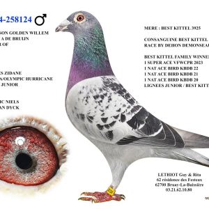 258124