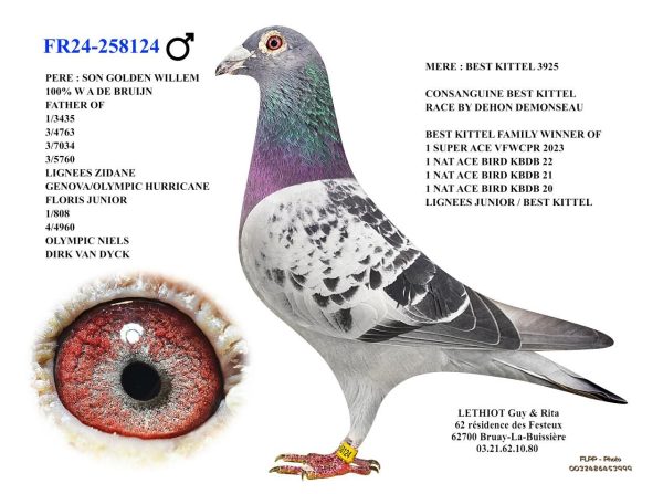 258124