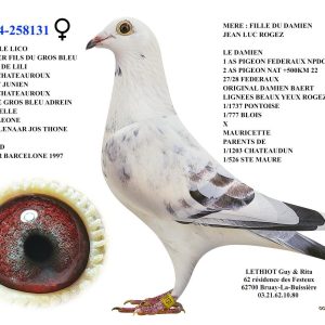 258131