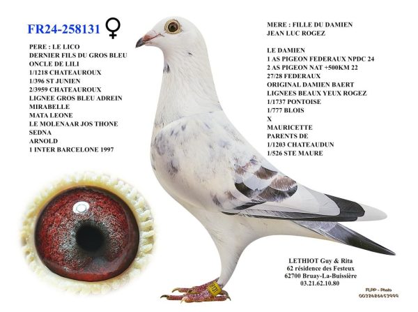 258131