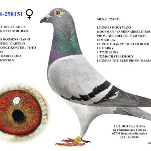 258151