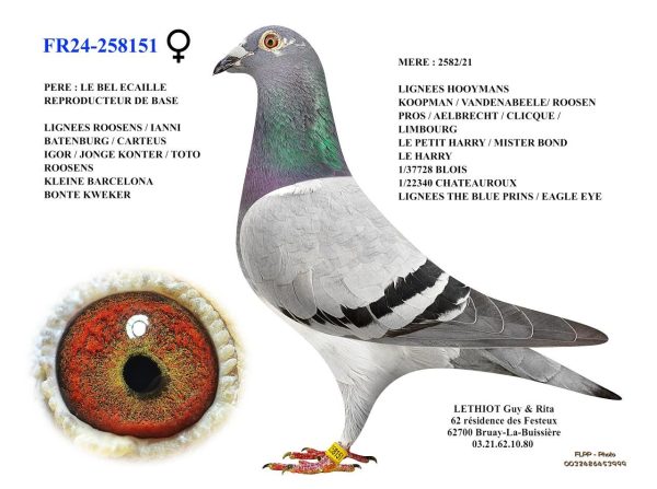 258151