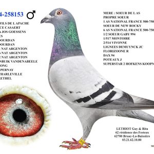258153