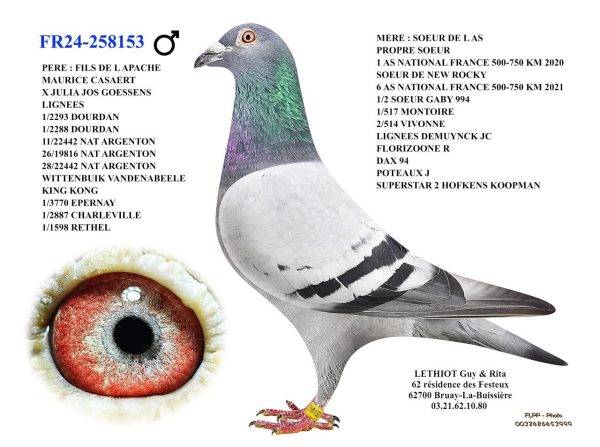 258153