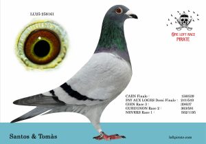 N° 35 : FR-2025-258161 M – DOS SANTOS JORGE Joao Paulo