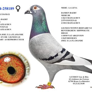 258189