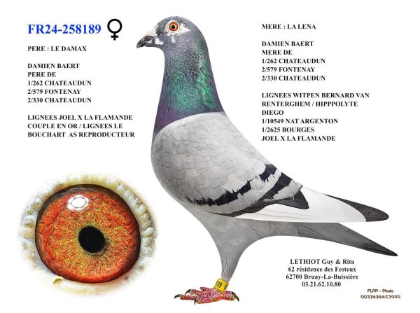 258189