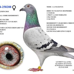 258208