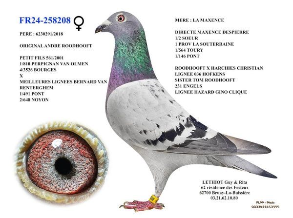 258208