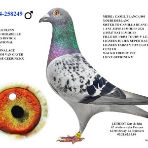 258249