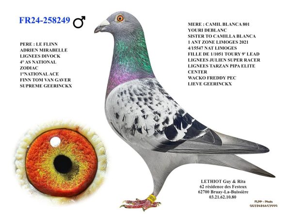 258249