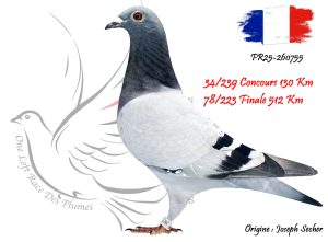 N° 78 : FR25-260755