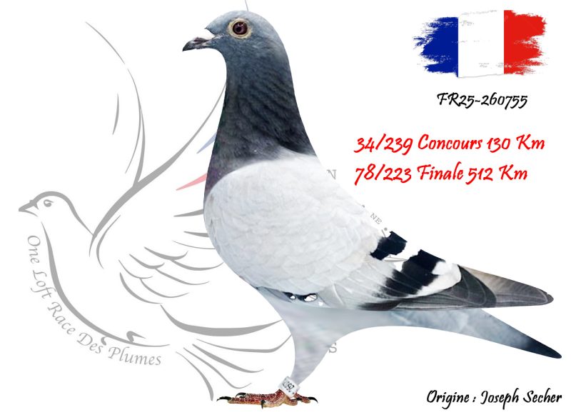 N° 78 : FR25-260755