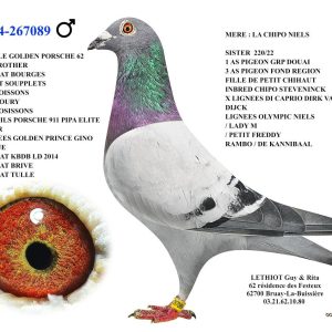 267089