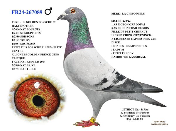267089
