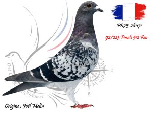 N° 92 : FR25-281171
