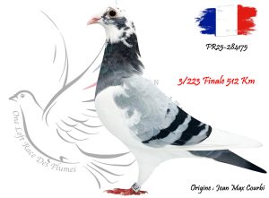 N° 3 : FR25-284175