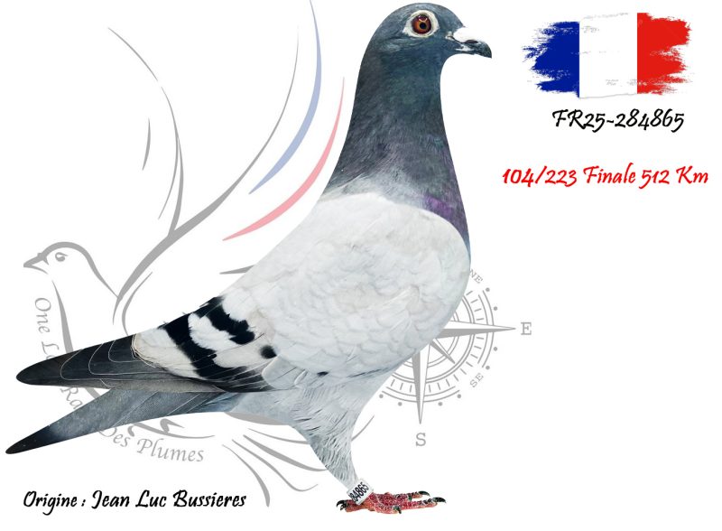 N° 104 : FR25-284865