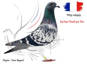 N° 64 : FR25-284969