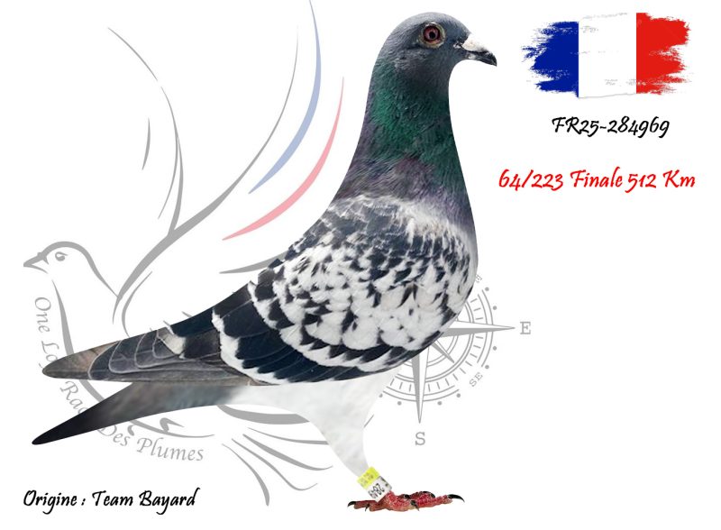 N° 64 : FR25-284969