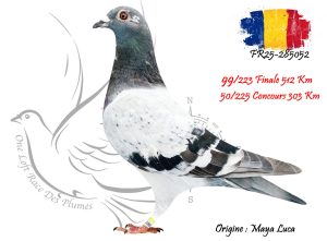 N° 99 : FR25-285052