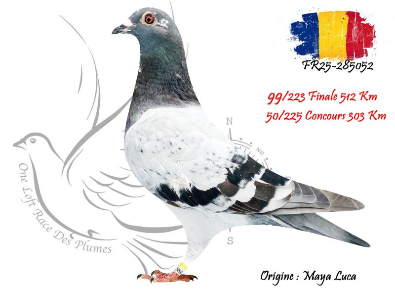 N° 99 : FR25-285052