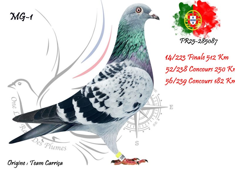 N° 14 : FR25-285087