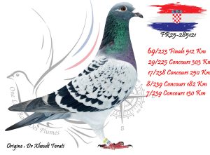 N° 69 : FR25-285121