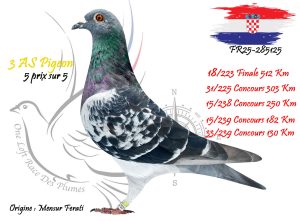 N° 18 : FR25-285125