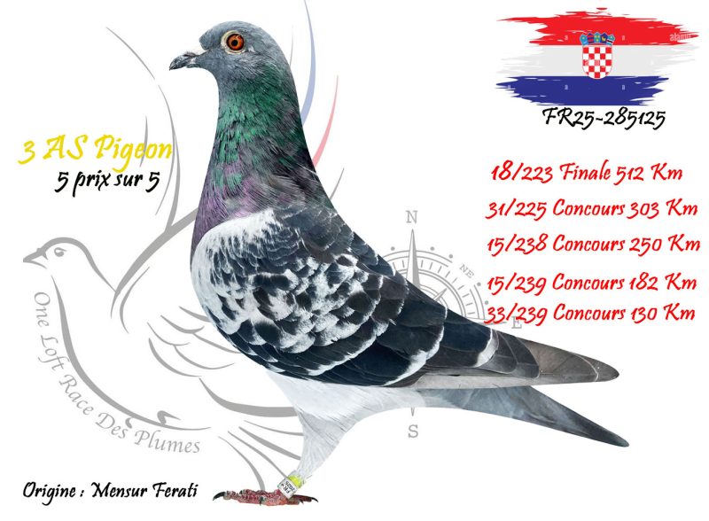 N° 18 : FR25-285125