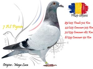 N° 23 : FR25-285302