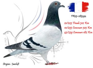 N° 21 : FR25-285394