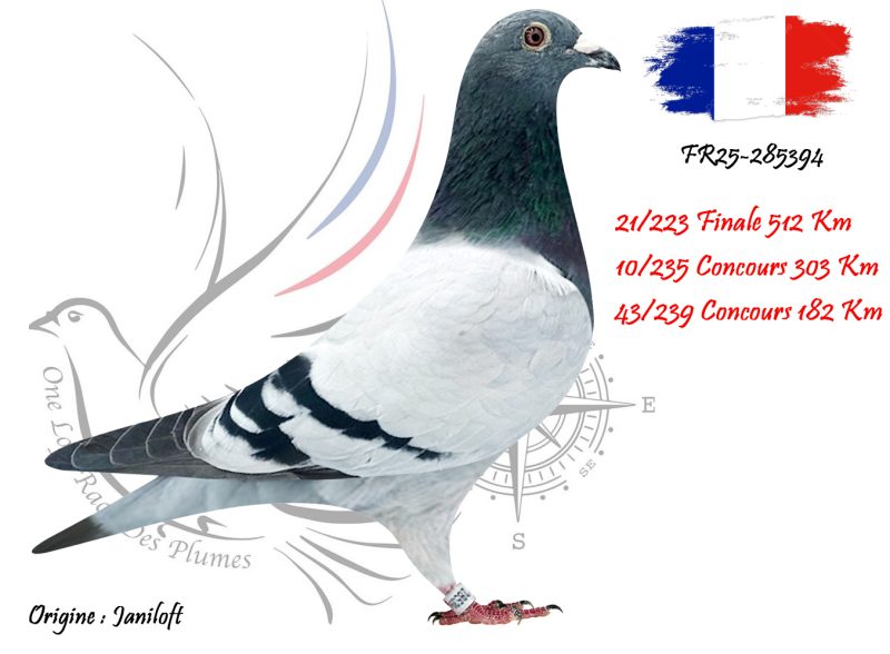 N° 21 : FR25-285394