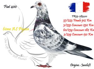 N° 37 : FR25-285400