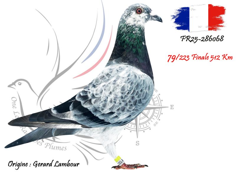 N° 79 : FR25-286068