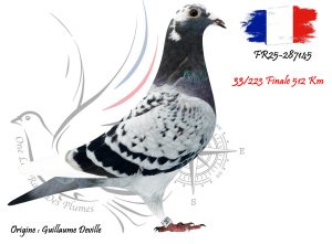 N° 33 : FR25-287145