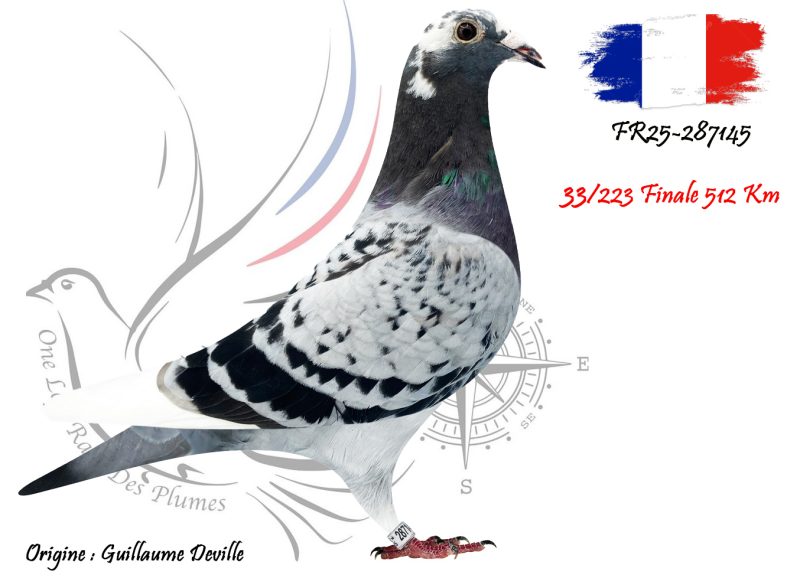 N° 33 : FR25-287145