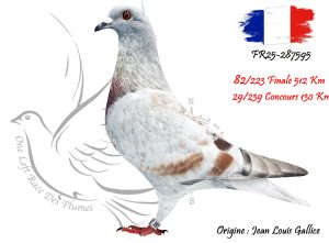 N° 82 : FR25-287595