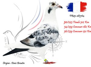 N° 50 : FR25-287764