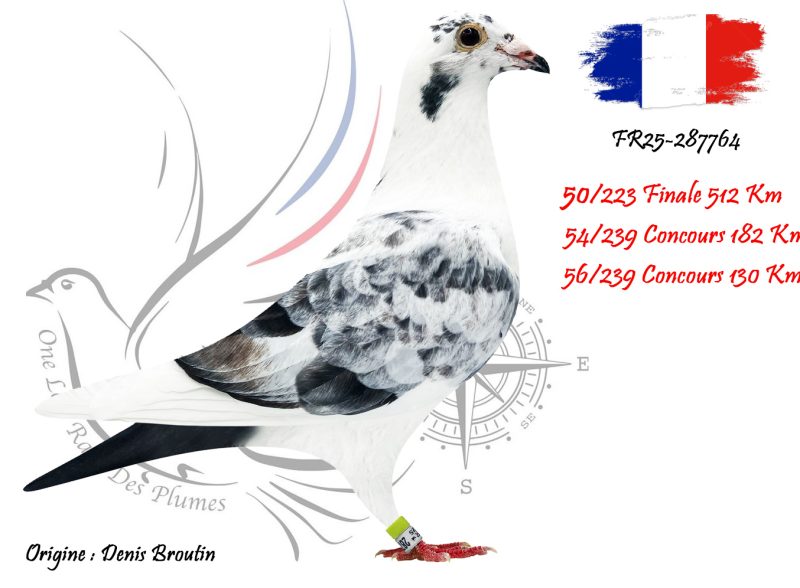 N° 50 : FR25-287764